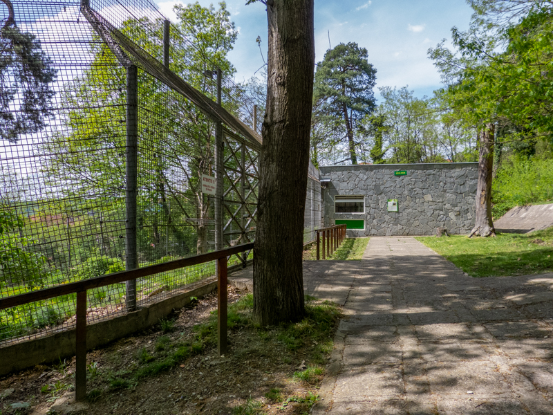 enclosure of brown bear