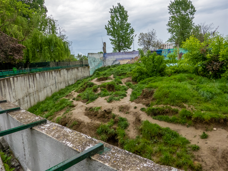 enclosure of brown bear