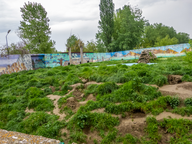 enclosure of brown bear