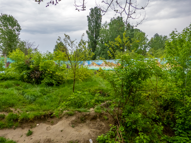 enclosure of brown bear