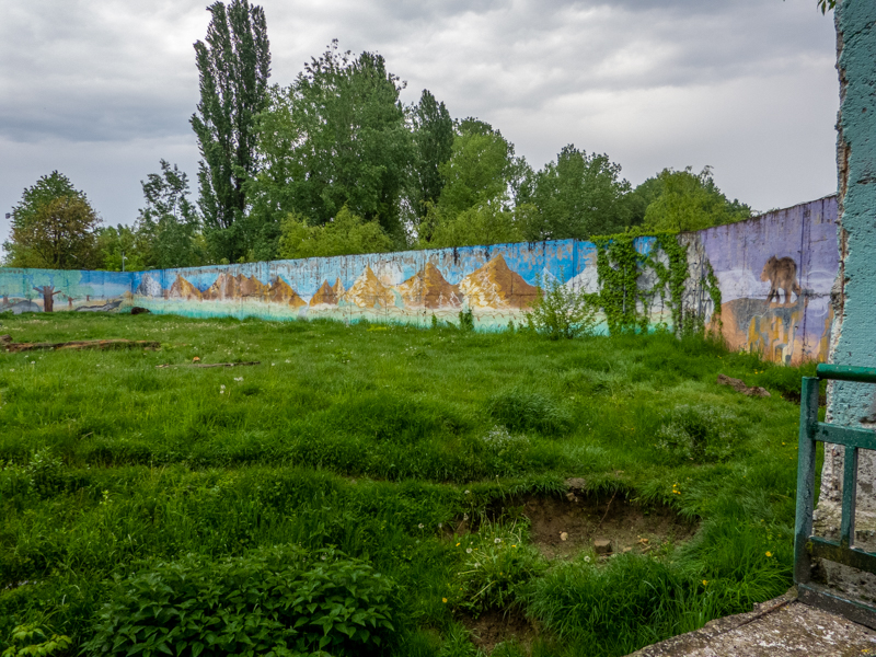enclosure of brown bear