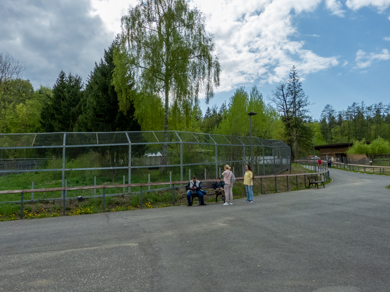 enclosure of brown bears #1