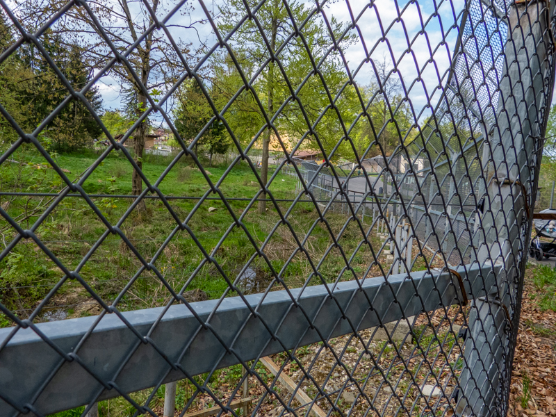 enclosure of brown bears #1