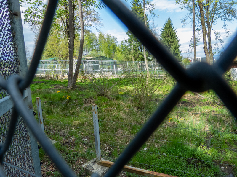 enclosure of brown bears #2