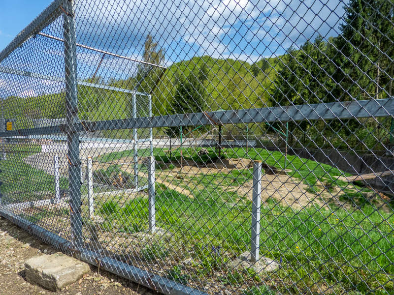 enclosure of brown bears #3 (in front a grass pre-enclosure)