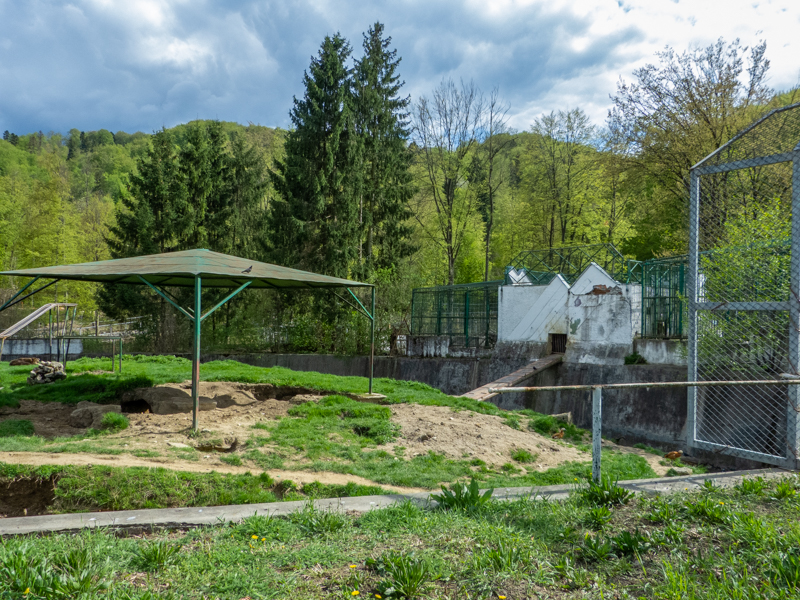 enclosure of brown bears #3