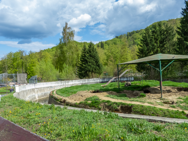 enclosure of brown bears #3