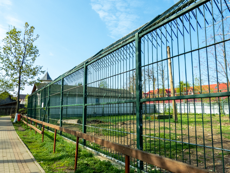 enclosure of Brown bears - parents