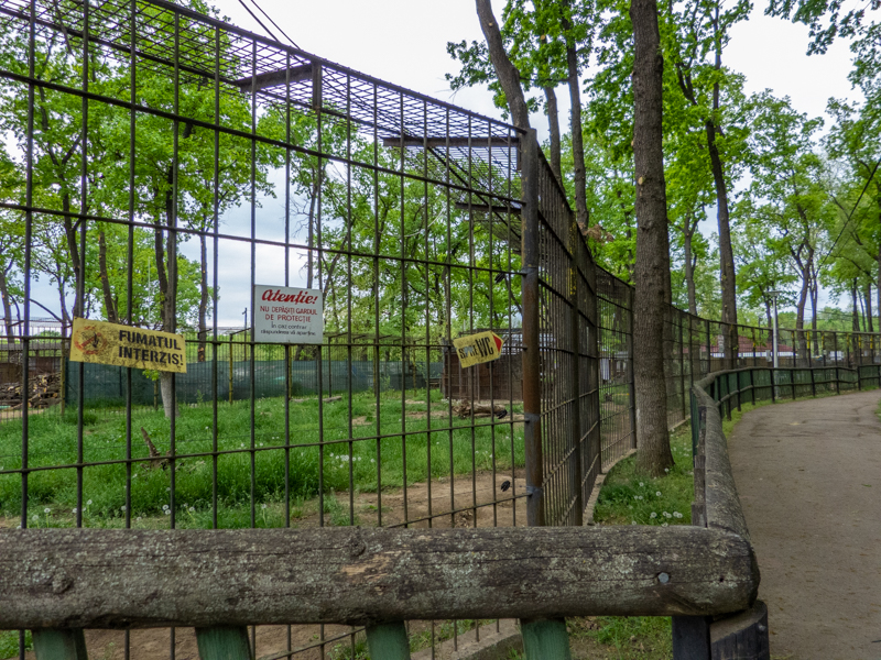enclosure of brown bears
