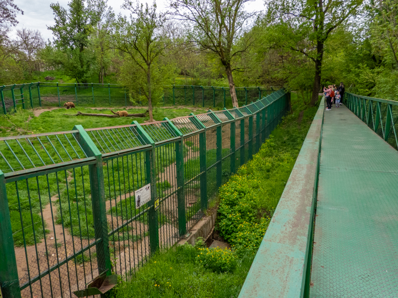 enclosure of brown bears