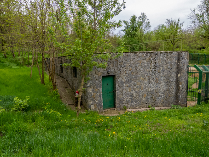 enclosure of brown bears