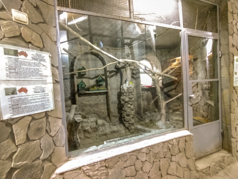 enclosure of budgerigar