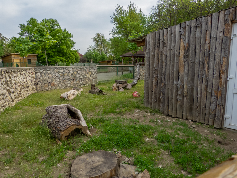 enclosure of bunnies