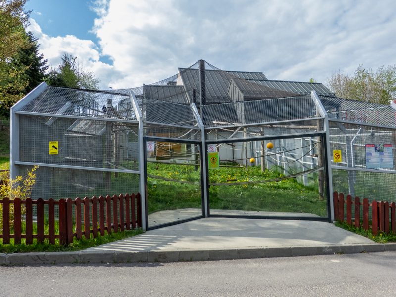 enclosure of capuchin monkeys