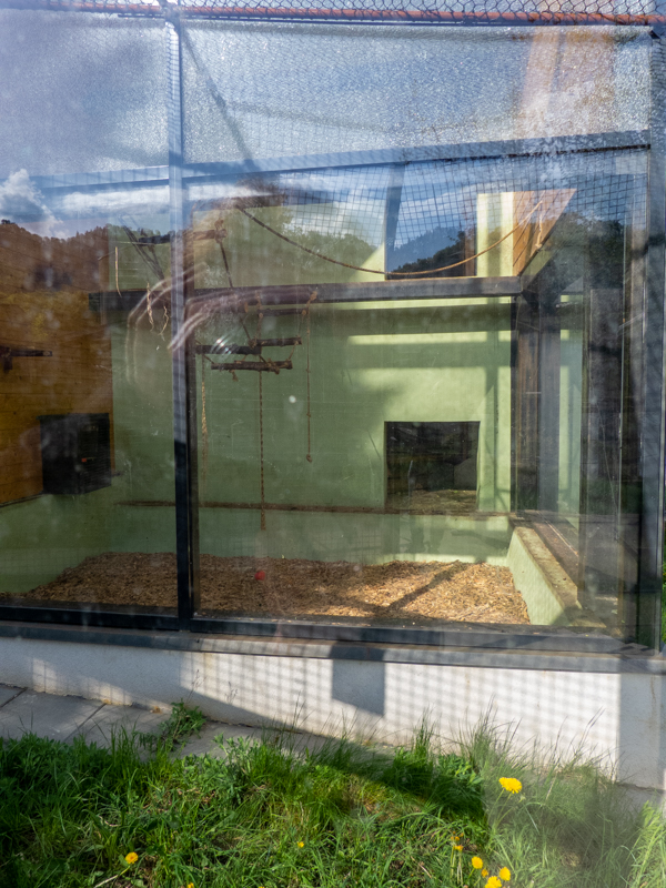 enclosure of capuchin monkeys