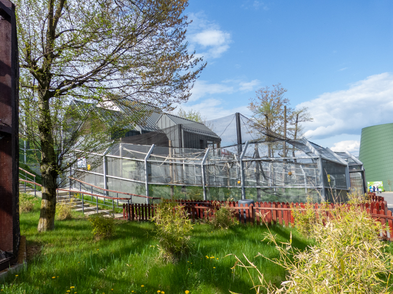 enclosure of capuchin monkeys