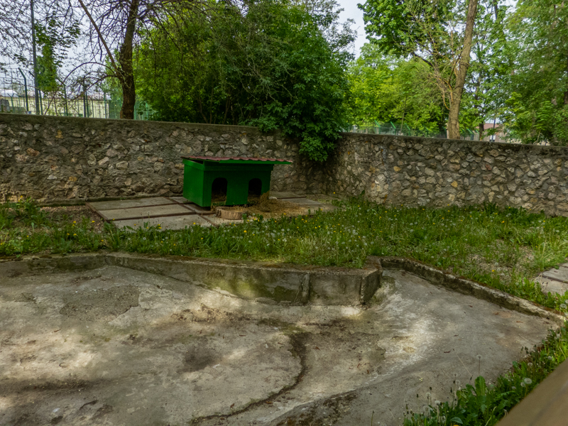 enclosure of capybara