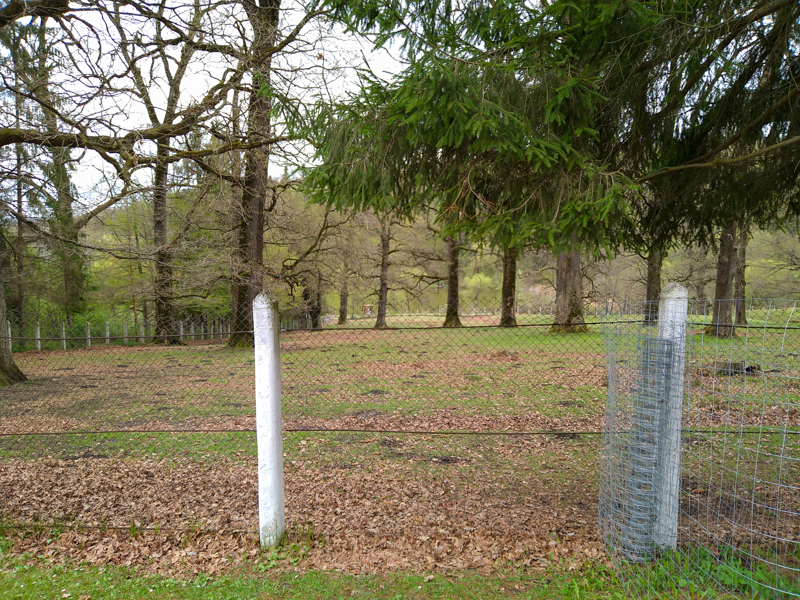 Enclosure of Carpathian red deer