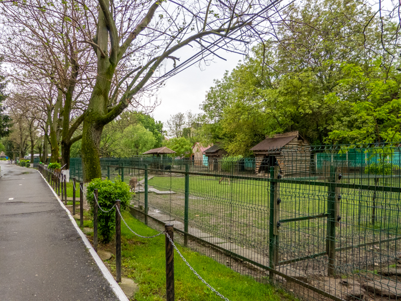 enclosure of carpathian red deer