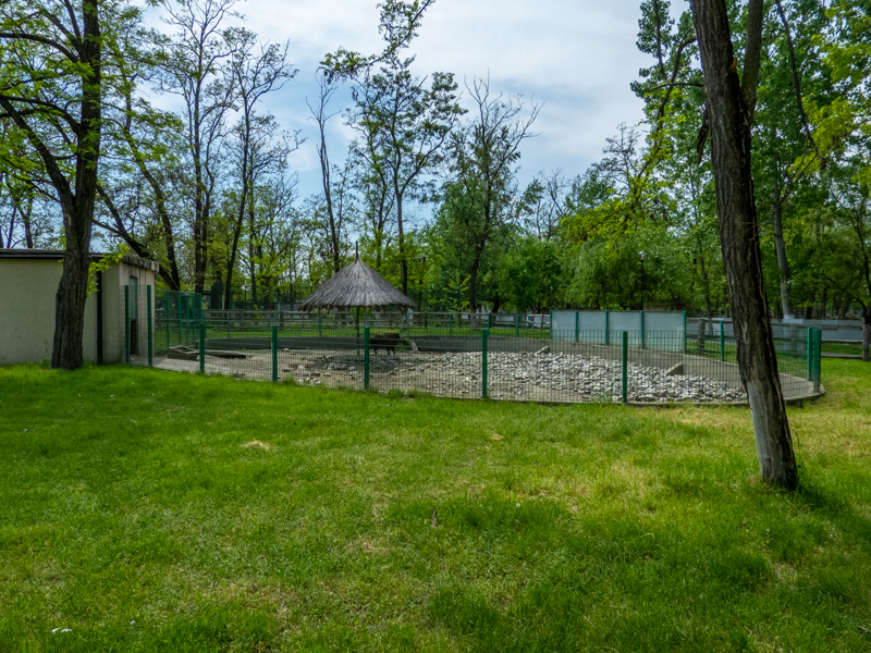 enclosure of carpathian wild boar #1