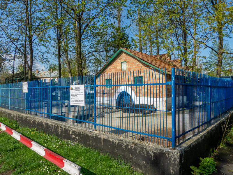 Enclosure of Caucasian boar