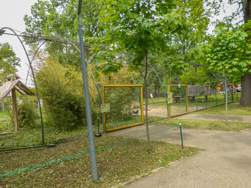 enclosure of chicken