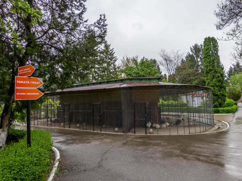 enclosure of chicken