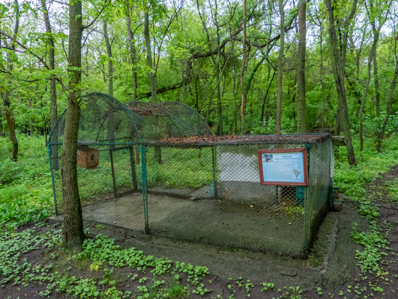 enclosure of chinchilla