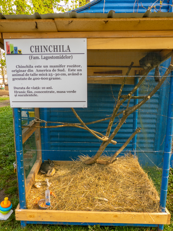 Enclosure of Chinchilla
