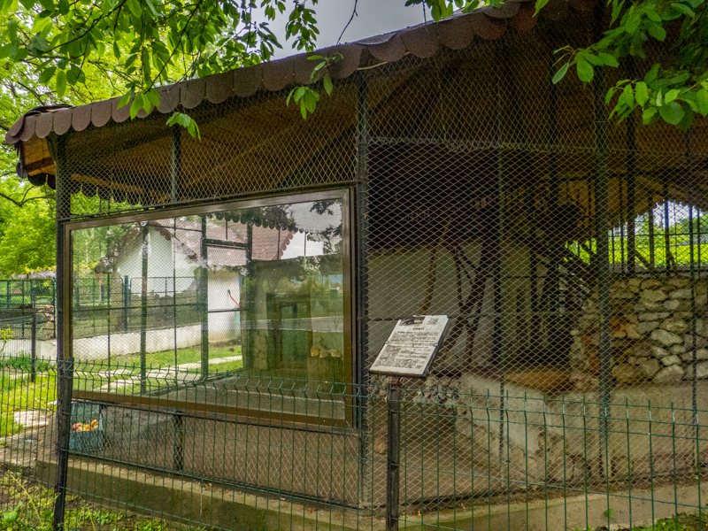enclosure of coati #1