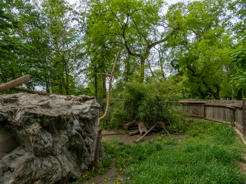 enclosure of coati & raccoon