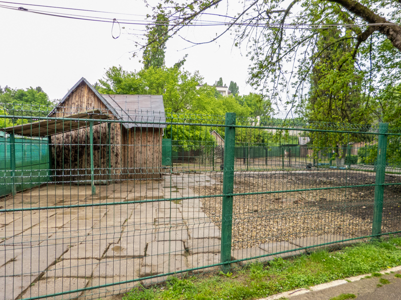 enclosure of collared peccary