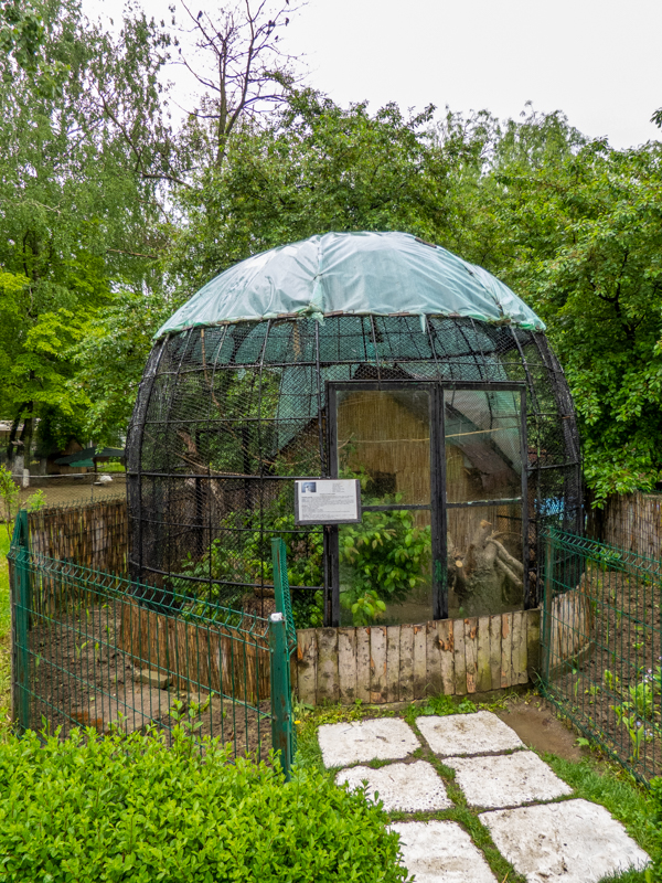 enclosure of common marmoset