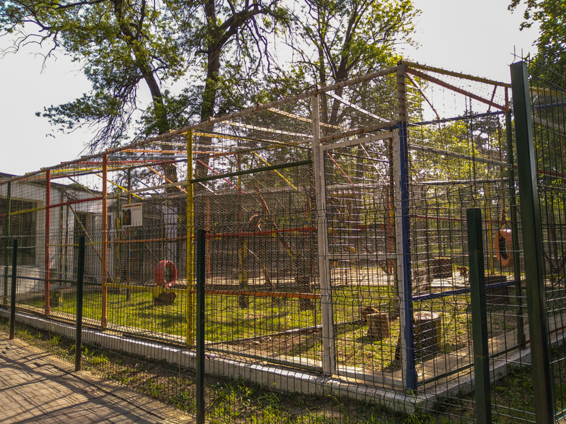 enclosure of crab-eating macaque