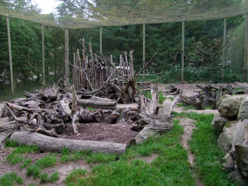 Enclosure of Cynictis penicillata