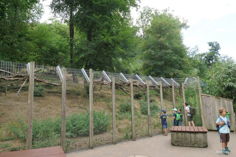 Enclosure of Dholes