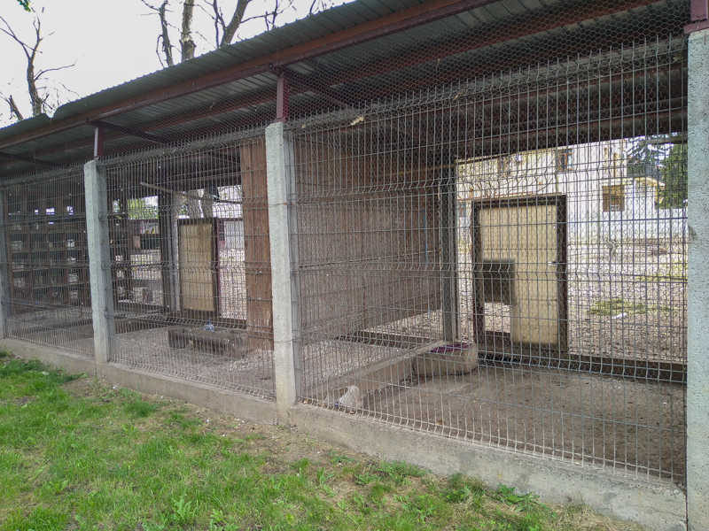 enclosure of doves and parrots