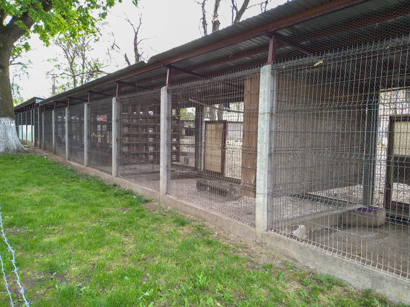 enclosure of doves and parrots