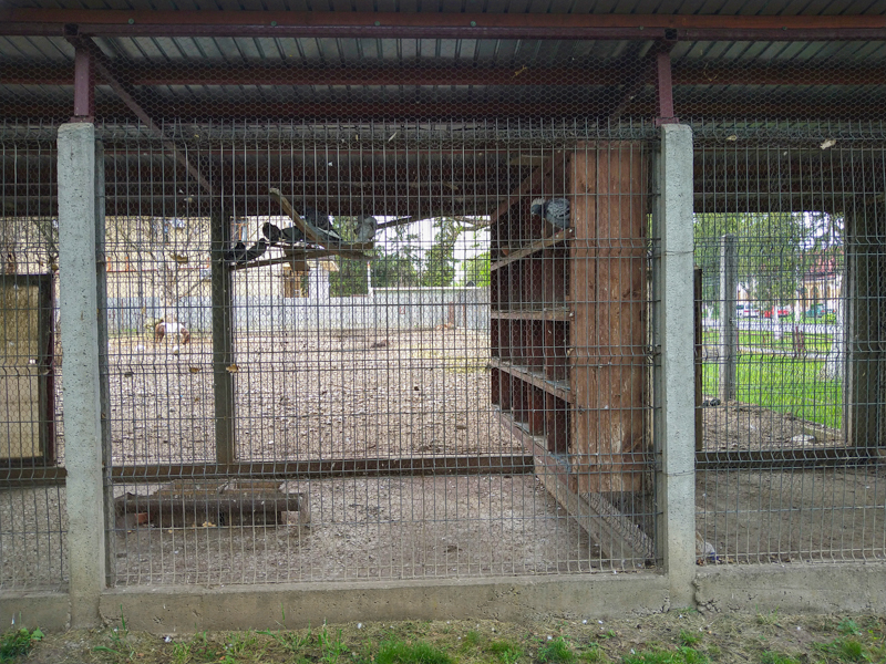 enclosure of doves and parrots