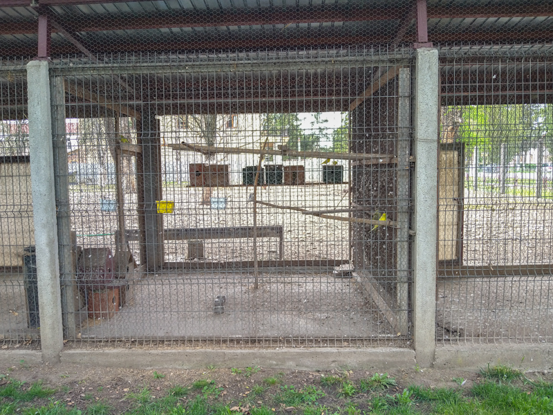 enclosure of doves and parrots