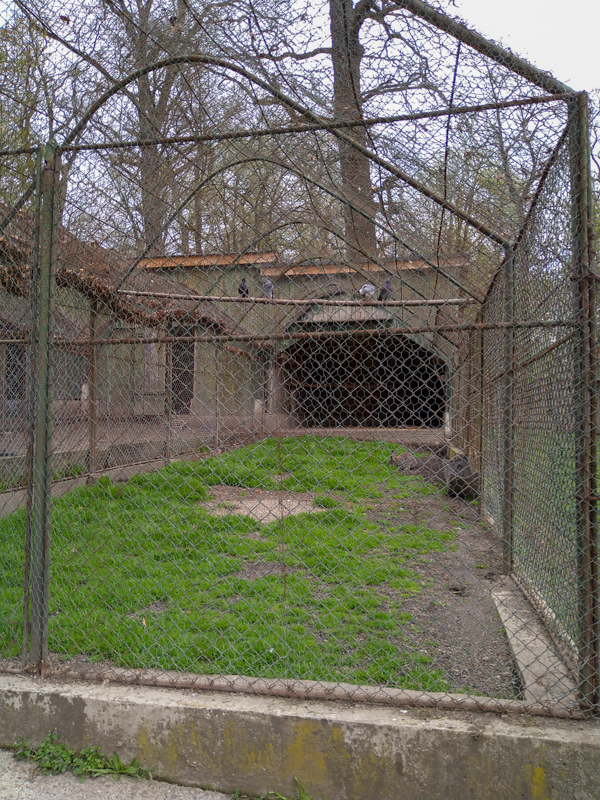 Enclosure of doves