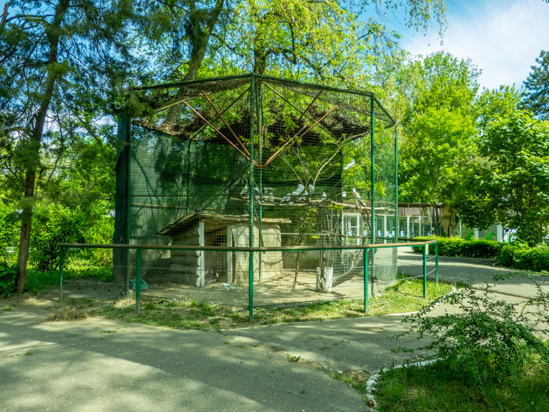 enclosure of doves