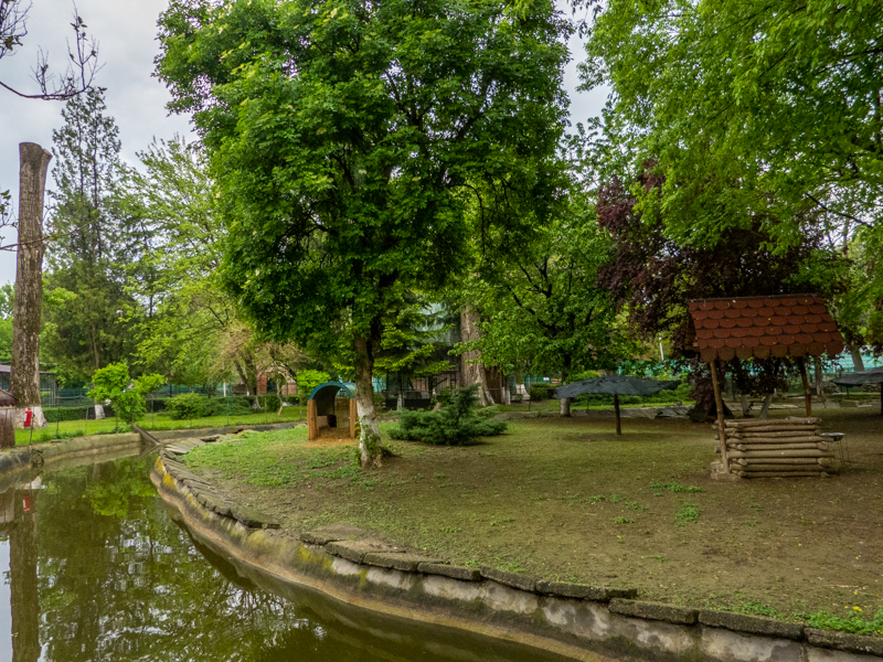 enclosure of ducks and goose