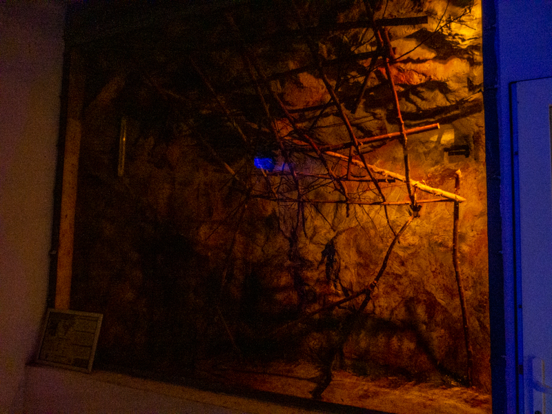 enclosure of egyptian fruit bat