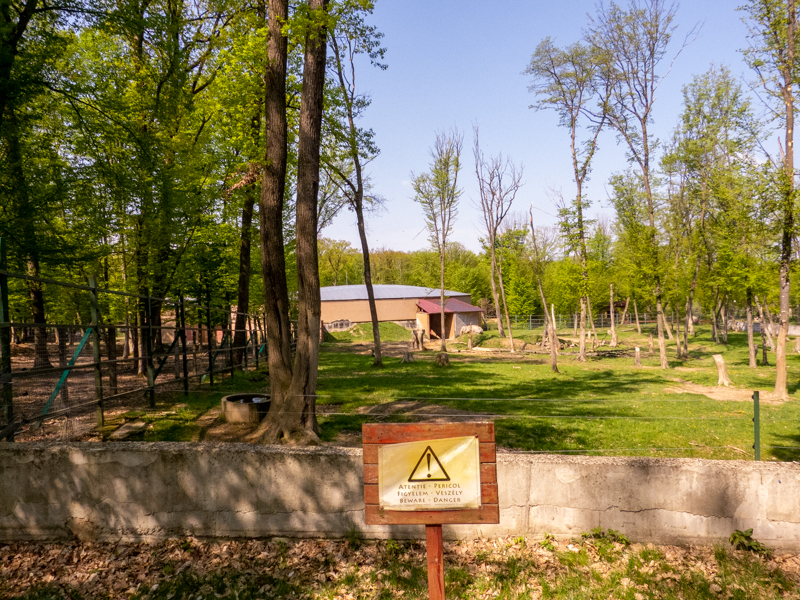 enclosure of elephants