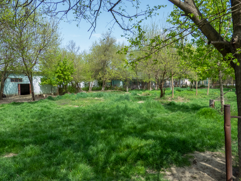 Enclosure of Emu & Greater rhea