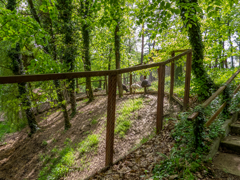 enclosure of emu, rhea and wallabies