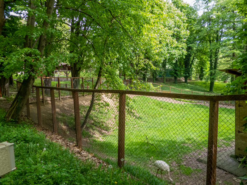 enclosure of emu, rhea and wallabies