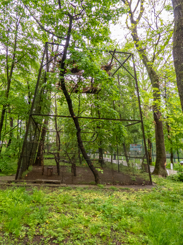 enclosure of Eurasian Eagle owl