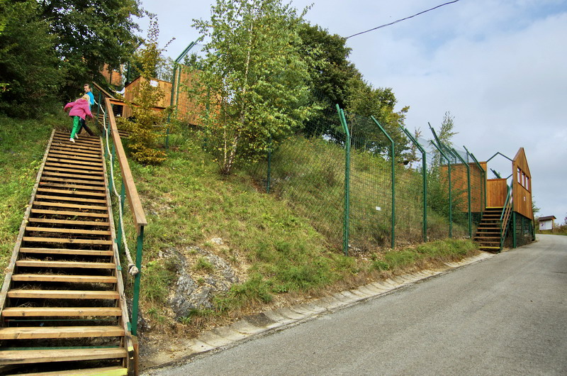 Enclosure of Eurasian lynx